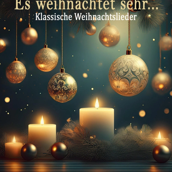 Es-weihnachtet-sehr-Ticket © Dorothee Stanglmayr