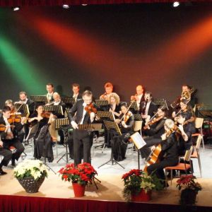 Neujahrskonzert_1500x644_ © ENSEMBLE NEUE STREICHER